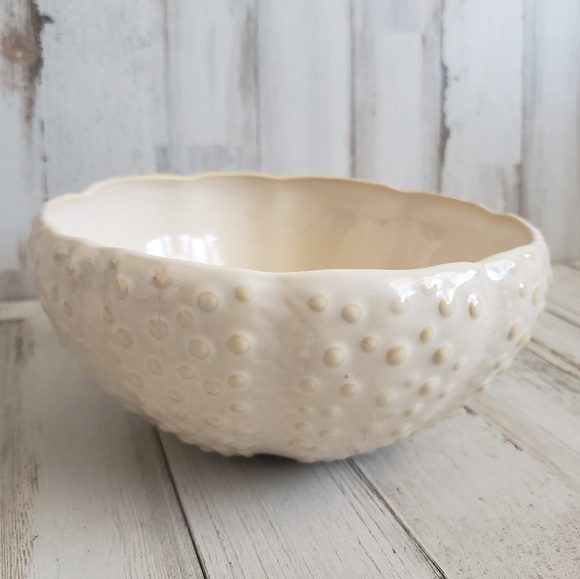 Pottery Barn Other - Pottery Barn Sea Urchin Under The Sea Bowl